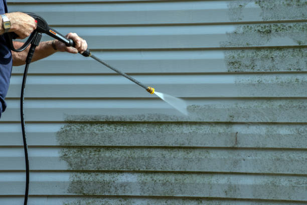 Best Building Exterior Washing  in Charlotte, MI